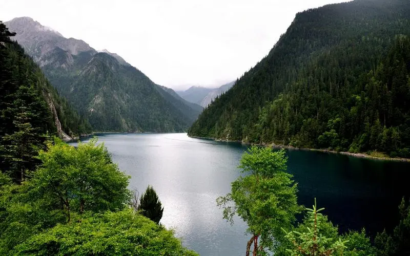新型电子数字化